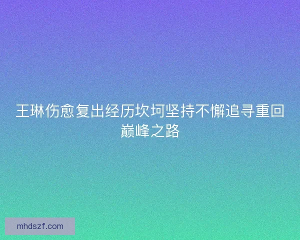 王琳伤愈复出经历坎坷坚持不懈追寻重回巅峰之路